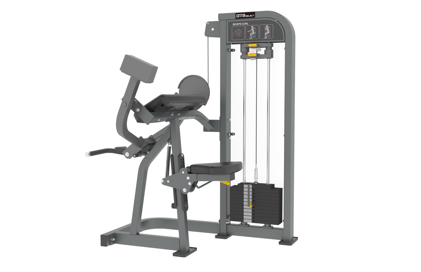 BICEP CURL - SELECTORISED
