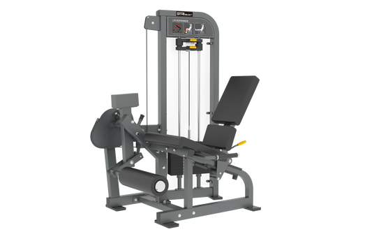 LEG EXTENTION - SELECTORISED