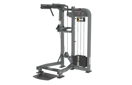 STANDING CALF - SELECTORISED