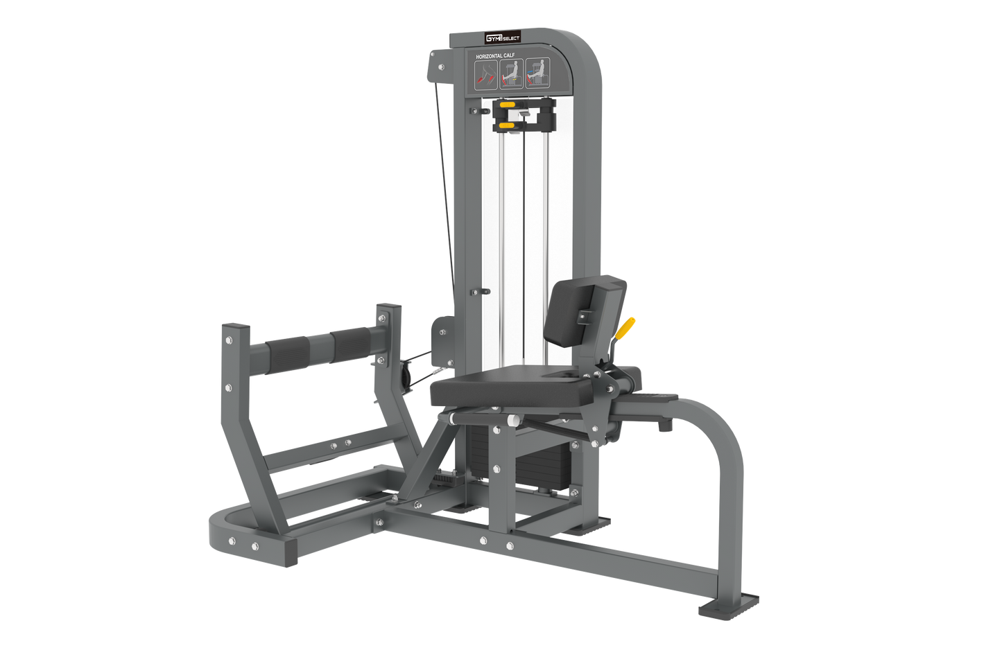 SEATED CALF - SELECTORISED