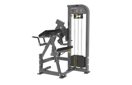 BICEP/TRICEP TRAINER - SELECTORISED