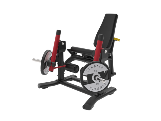 LEG EXTENTION - PLATE MACHINE