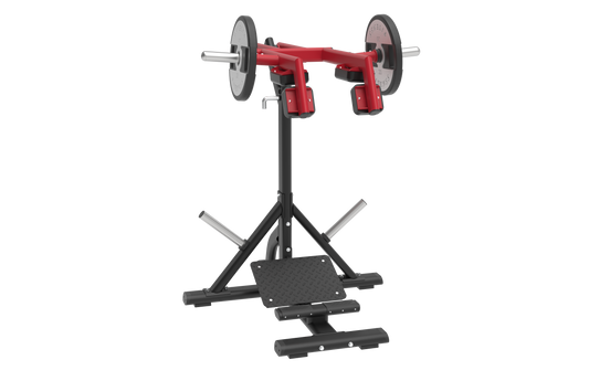STANDING CALF - PLATE MACHINE