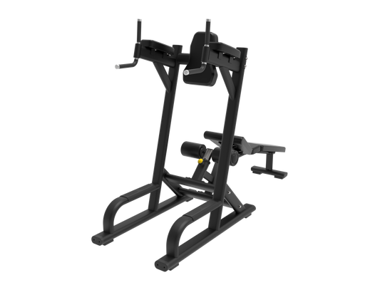 ABDOMINAL & KNEE UP DIP - PLATE MACHINE
