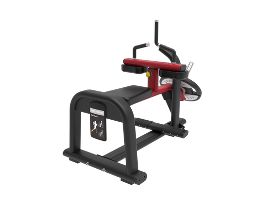 CALF RAISE - PLATE MACHINE